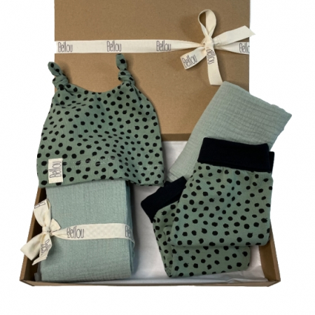 Set Basic Green Dots