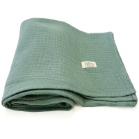 Plena Muslin 100x100 Muslin Mint